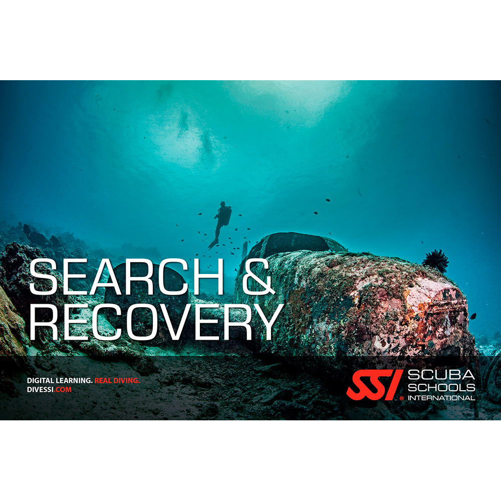 SSI - Search and Recovery Manual