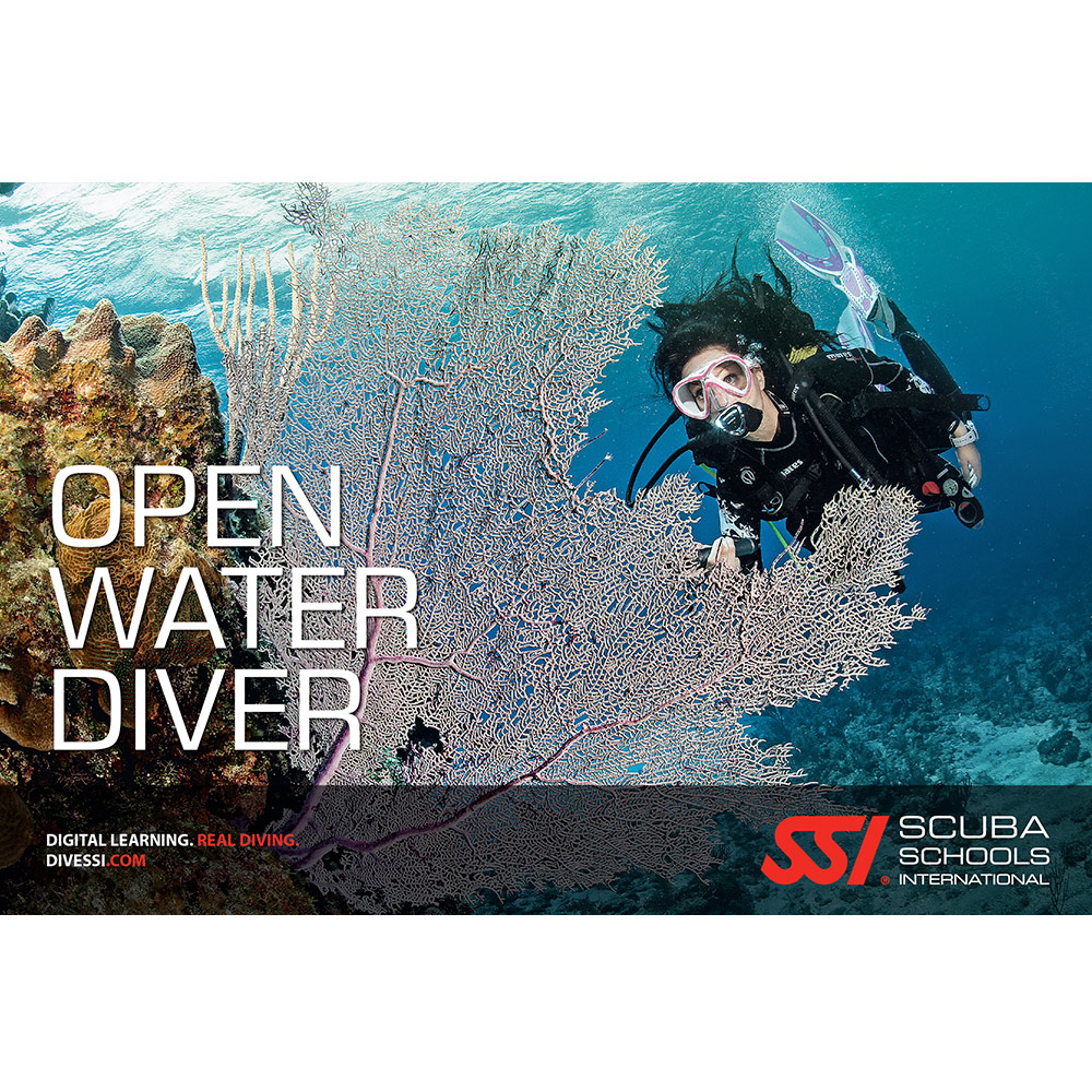 SSI Open Water Diver Manual